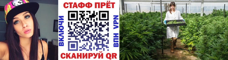 Наркошоп купить Alpha-PVP  Конопля  КОКАИН  МЕФ  АМФЕТАМИН  ГАШИШ  Всеволожск