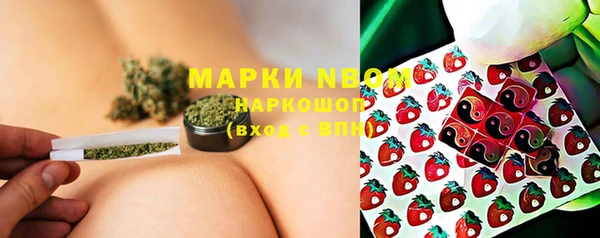 тгк Беломорск