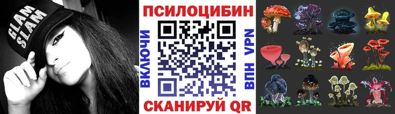 Галлюциногенные грибы Cubensis  Купить закладки  Всеволожск 